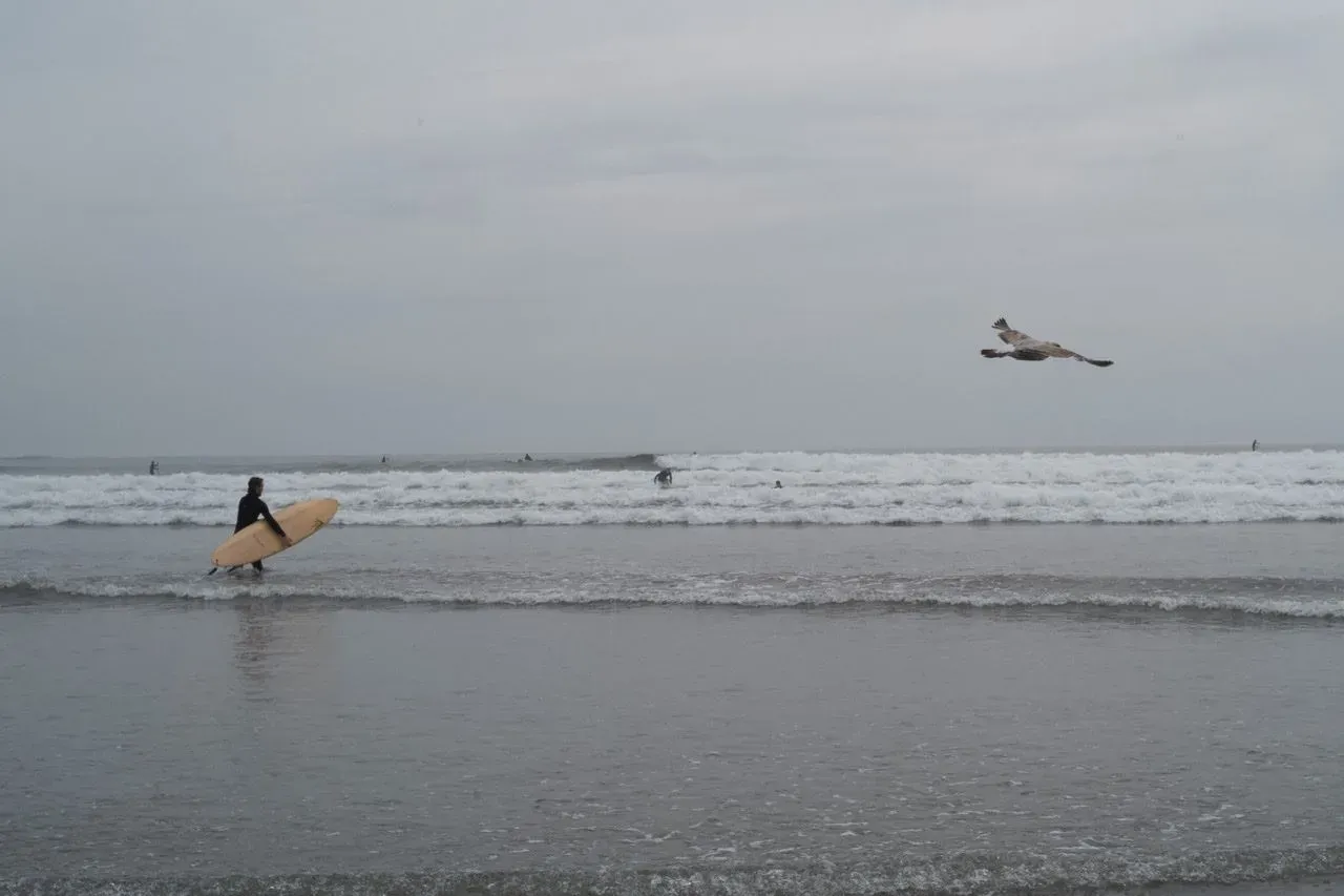 Nahant check